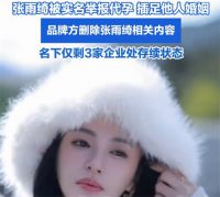 多品牌紧急删除张雨绮相关代言内容 张雨绮袁巴元前妻纠葛