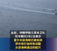 伊朗称仅允许中国船只通过霍尔木兹 中国货船安全通过霍尔木兹海峡