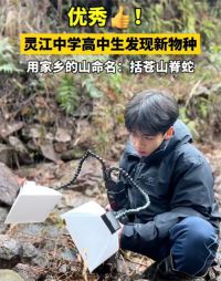 17岁男生发现新物种筷子蛇登上SCI 少年百公里往返觅得关键标本