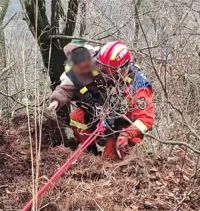 5岁男孩逗小猴子被母猴拽下悬崖 小男孩被母猴拽下10米悬崖获救