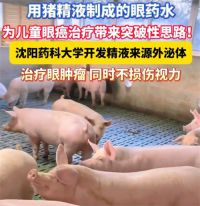 猪精液制成的眼药水可治疗眼肿瘤 中国团队用猪精液制成抗癌眼药水