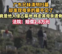 清明上山扫墓却发现母亲的墓不见了 擅自迁移他人坟墓被判赔偿2万多