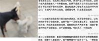 男子骗养20多只狗供烈犬撕咬被刑拘 骗养虐杀狗事件志愿者发声