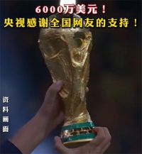 央视6000万美元拿下世界杯版权 央视一次拿下4届世界杯转播权