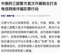 中美阿三国联合打击电诈 276名网恋骗子在迪拜被抓