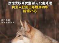 烈性犬咬死2岁女童主人赔25万 2岁女童被狼犬撕咬致死家属谅解