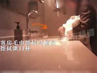 维也纳酒店保洁用客房牙刷刷马桶 维也纳酒店毛巾擦马桶后又擦杯子