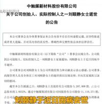 创始人去世24岁女儿拟继承近5亿家产 中触媒创始人刘颐静去世