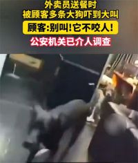 外卖员被3烈犬吓尖叫主人说不咬人 警方介入外卖员遭顾客3烈犬惊吓