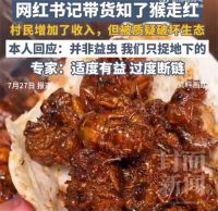 网红书记带货知了猴被指破坏生态 网红书记回应带货知了猴被质疑