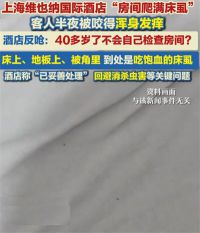 维也纳国际酒店客房遍布吸饱血的床虱 酒店客房有虫员工反怪顾客不查