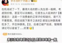 罗永浩吐槽野人先生味道一般 野人先生冷处理