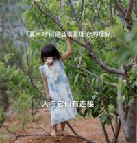 大理一家三代隐居深山6年 现代人隐居山林生活