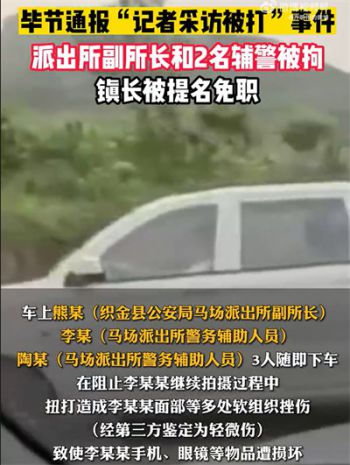 记者采访被打 打人副所长等3人被拘 镇长被免职