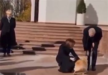 摩尔多瓦总统爱犬咬伤奥地利总统 总统府狗咬伤奥地利领导人