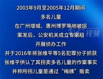 梅姨被逮捕 梅姨男友称与其同居3年没拍照片