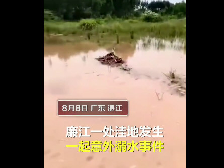 广东湛江4名小学生意外溺亡