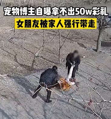 拿不出50万彩礼 女友被强行拖走 拿不出50万彩礼 女友被强行拖走