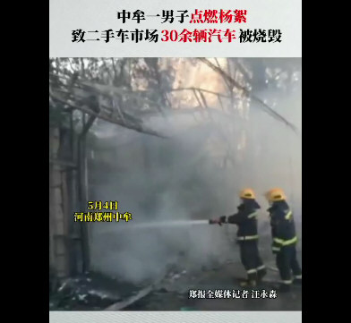 男子无聊点燃杨絮致30余辆车被烧毁！网友网购洗发水收到潘飘飞丝