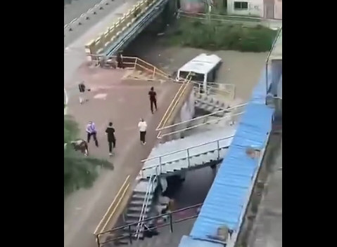 上海一公交坠河 司机提前让乘客下车