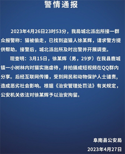 警方通报网红偷猫后在小树林虐杀 杰克辣条虐猫