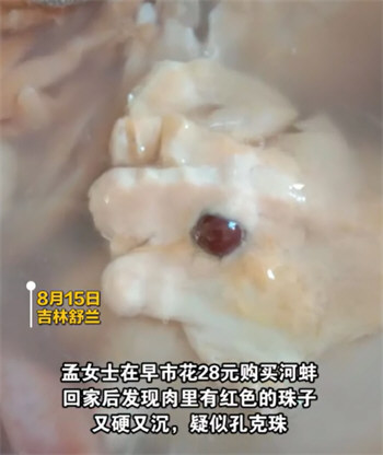女子称买28元河蚌疑发现红色孔克珠