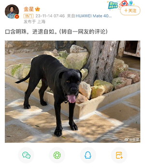 格力电器:高管遭侮辱诽谤 已报案