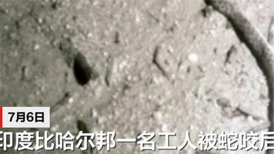 印度男子遭蛇咬两口后反咬蛇三口