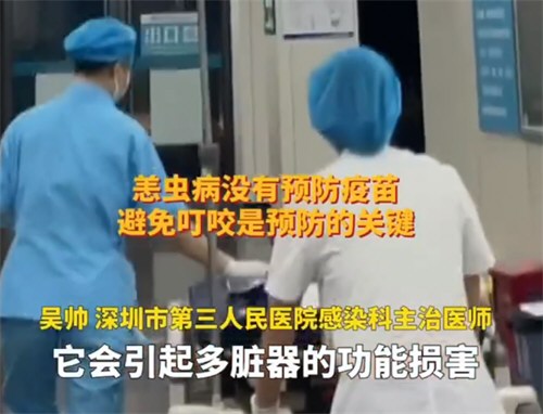 女子踏青患怪病高烧呕吐多器官损害 又一可怕虫类需警惕