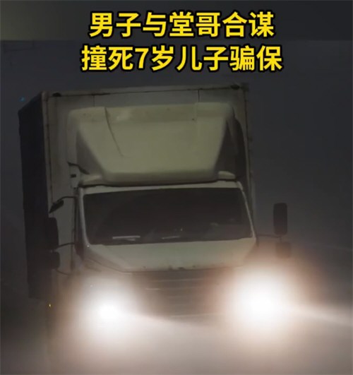 男子与堂哥合谋撞死7岁儿子骗保 与堂哥合谋撞死儿子骗保男子获死刑