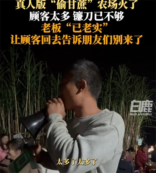 自助偷甘蔗农场爆火后老板真没招了