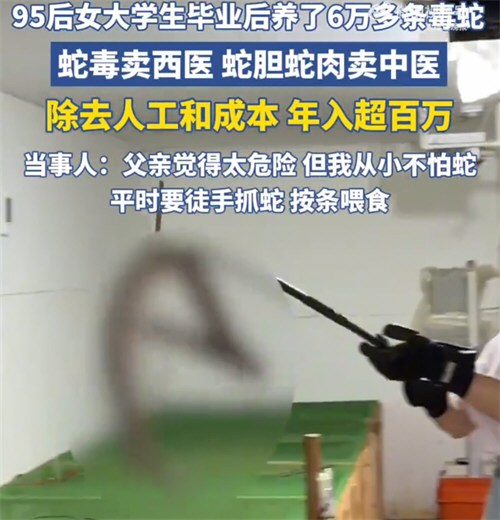 95后姑娘养6万多条毒蛇年入百万 95后姑娘养6万多条毒蛇年入百万