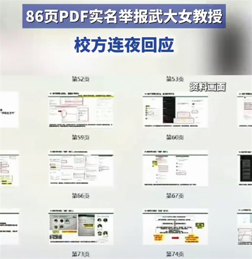 武大被举报女教授与博导共申多项专利 武大师生恋绯闻