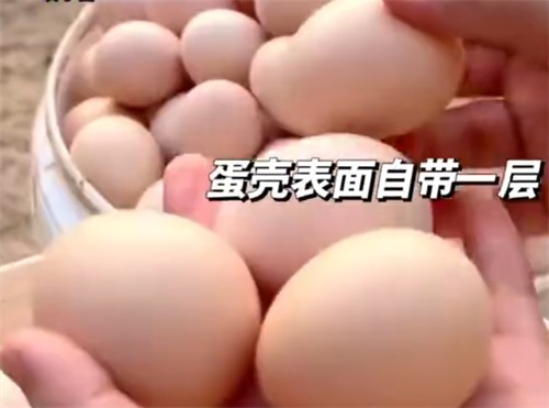 一家三口吃清洗过的鸡蛋后集体中毒 千万不要用水洗鸡蛋