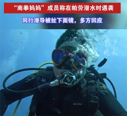 南拳妈妈成员帕劳潜水遭水下袭击 多方回应南拳妈妈成员帕劳潜水遇袭