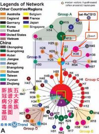 新冠病毒基因族谱分类图！武汉华南海鲜市场源头论新发现