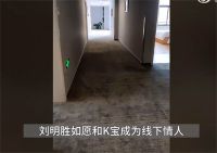 月薪6000小伙为见女主播打赏9000万 挪用 公款1.23亿被抓