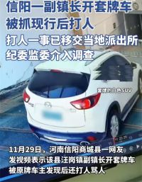 信阳一副镇长被指开套牌车还打人 纪委介入调查副镇长套牌打人