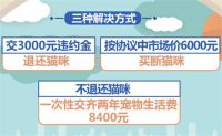 宣称免费领养实为贷款买猫 猫咪免费领养套路