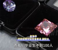 珠宝专业就业率100% 校领导称供不应求很痛苦