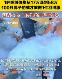 羽绒服出厂价已逼近千元 鸭绒价格暴涨