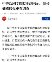 中戏院长郝戎被查 郝戎主动投案