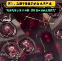 医生称车厘子果蝇的幼虫水洗不掉 车厘子正确清洗教程来了