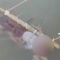 印度男孩遭蛇咬伤被父母浸入恒河 男孩受伤父母不信医生信术士