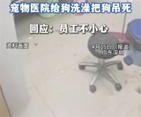 宠物医院给狗洗澡把狗吊死 宠物医院称员工不小心