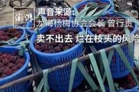 杨梅协会会长恳求消费者给果农生路 会长称杨梅泡药是个别商家违规操作