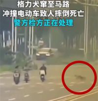 女子被大狗撞倒身亡养犬人接受调查 女子骑行被狗撞倒身亡