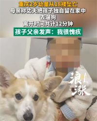 坠亡幼童父母事发前曾因琐事争吵 坠亡幼童父亲被妻子打后扬言要报警