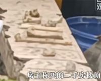 女子买房多年得知客厅上方有座坟 成都一二手房顶楼埋有孩童坟墓