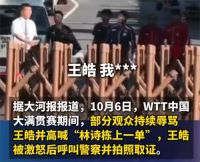 警方通报王皓被围堵辱骂处理结果 3人为发泄情绪辱骂王皓被拘留